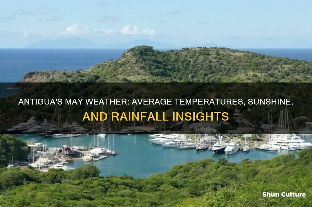 what is the average weather in may for antigua