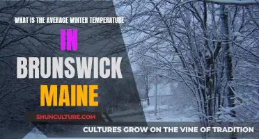 Winter in Brunswick, Maine: How Cold?