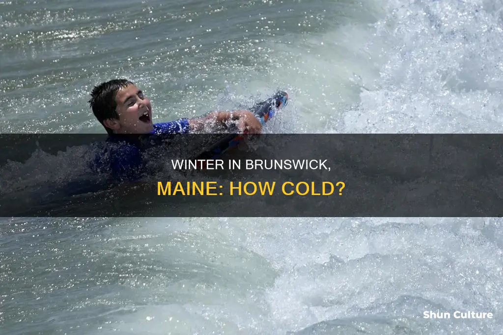 what is the average winter temperature in brunswick maine