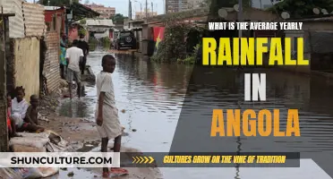 Exploring Angola's Yearly Rainfall Patterns and Totals