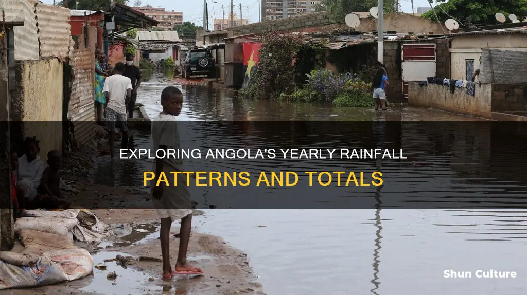 what is the average yearly rainfall in angola