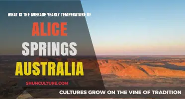 Exploring Alice Springs' Yearly Climate: Average Temperature Insights