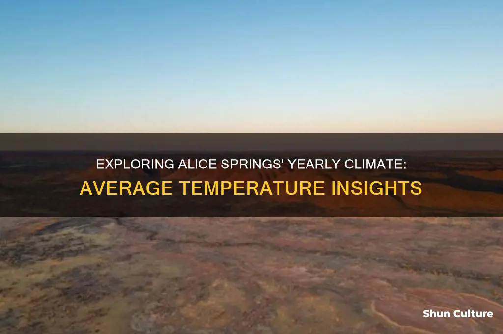 what is the average yearly temperature of alice springs australia