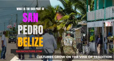 The Dark Side of San Pedro, Belize: A Paradise Lost?