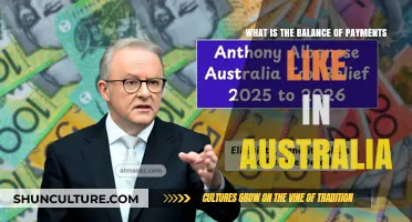 Australia's Balance of Payments: Trends, Challenges, and Economic Insights
