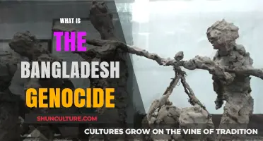 The Forgotten Tragedy: Understanding the 1971 Bangladesh Genocide