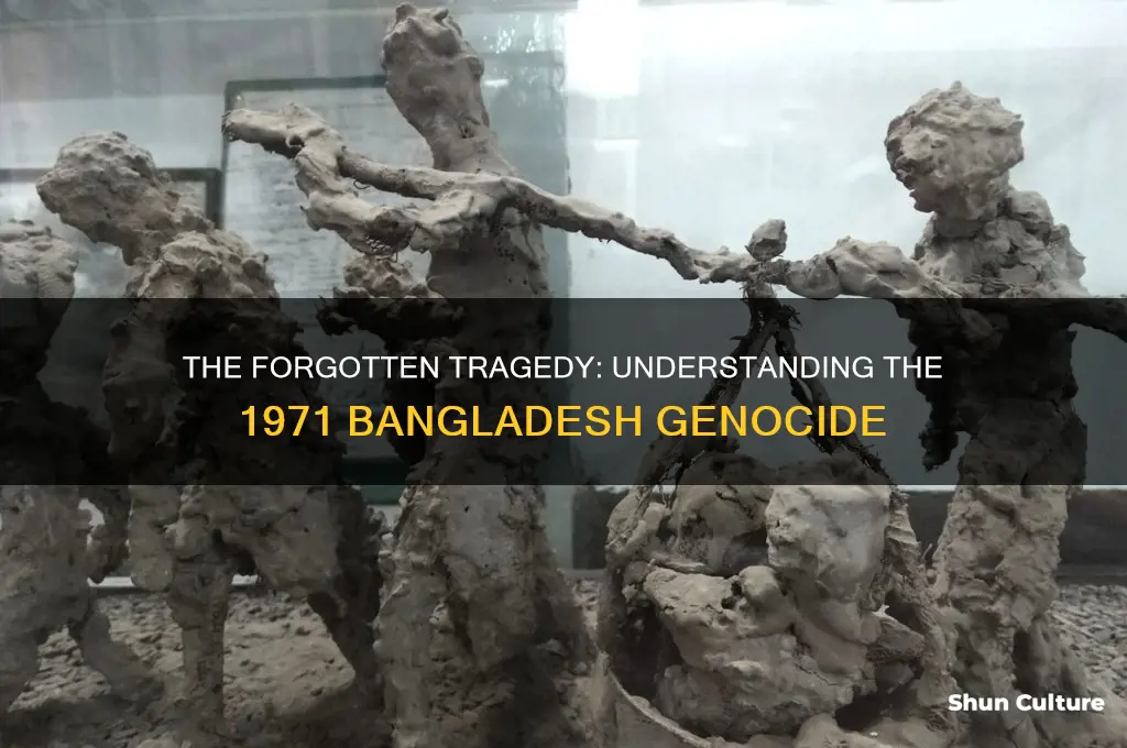 what is the bangladesh genocide