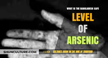 Understanding Bangladesh's Safe Arsenic Levels: Risks, Standards, and Solutions