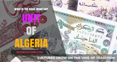 Understanding Algeria's Currency: The Basic Monetary Unit Explained