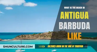 Exploring Antigua Barbuda's Stunning Beaches: A Tropical Paradise Guide