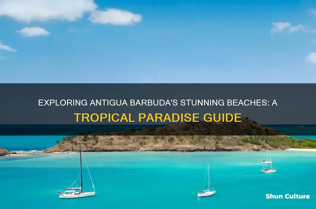 what is the beach in antigua barbuda like