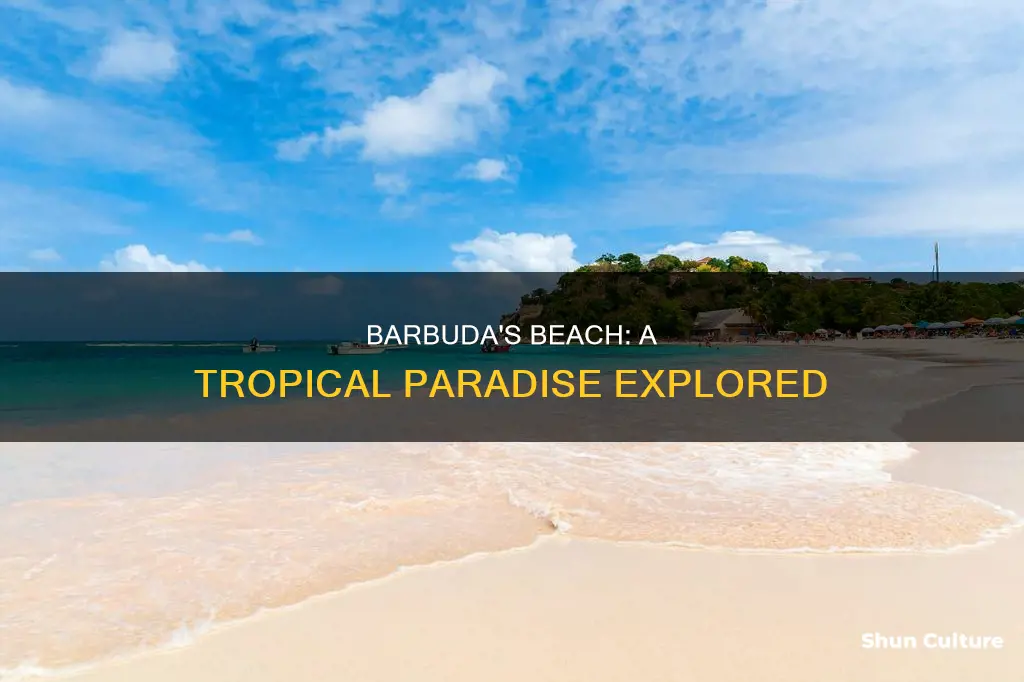 what is the beach in barbuda like