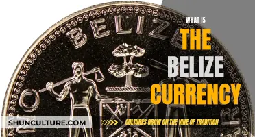 Belize Currency: Everything You Need to Know