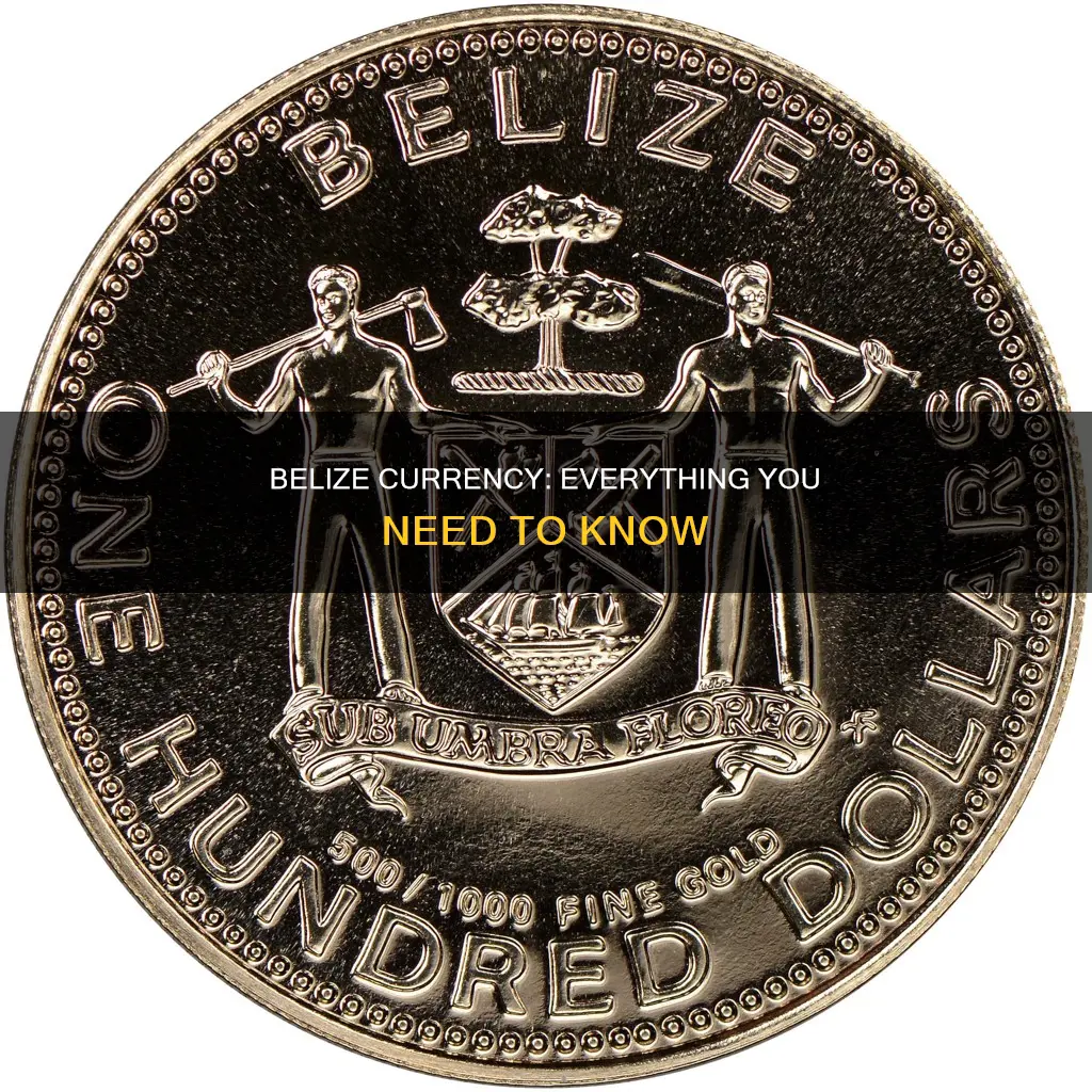 what is the belize currency