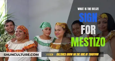 The Unique Sign Language of Belize's Mestizo Community