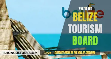 Belize Tourism Board: Unveiling the Treasures of Belize