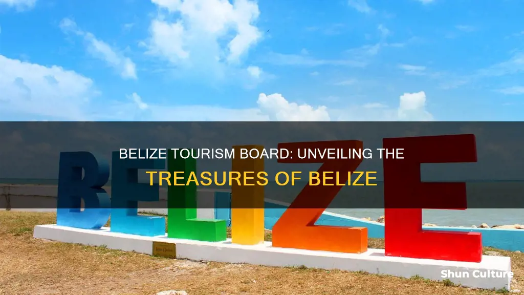 what is the belize tourism board