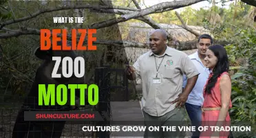 The Belize Zoo's Unique Motto: "The Best Little Zoo in the World