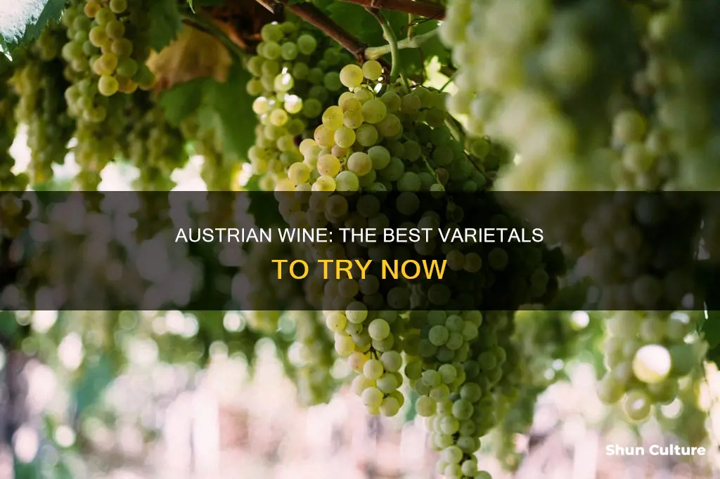what is the best austrian wine