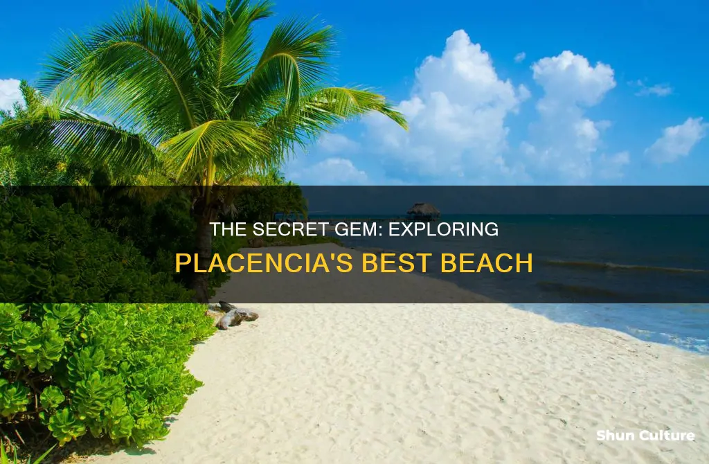 what is the best beach in placentia belize