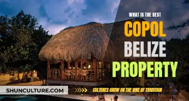 The Ultimate Copol Belize Property: Unlocking the Secrets to Paradise Living