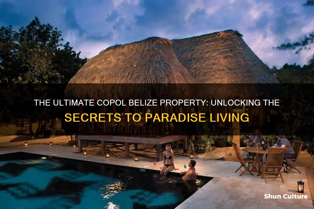 what is the best copol belize property