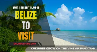 The Ultimate Island Escape: Discovering Belize's Top Island Paradise