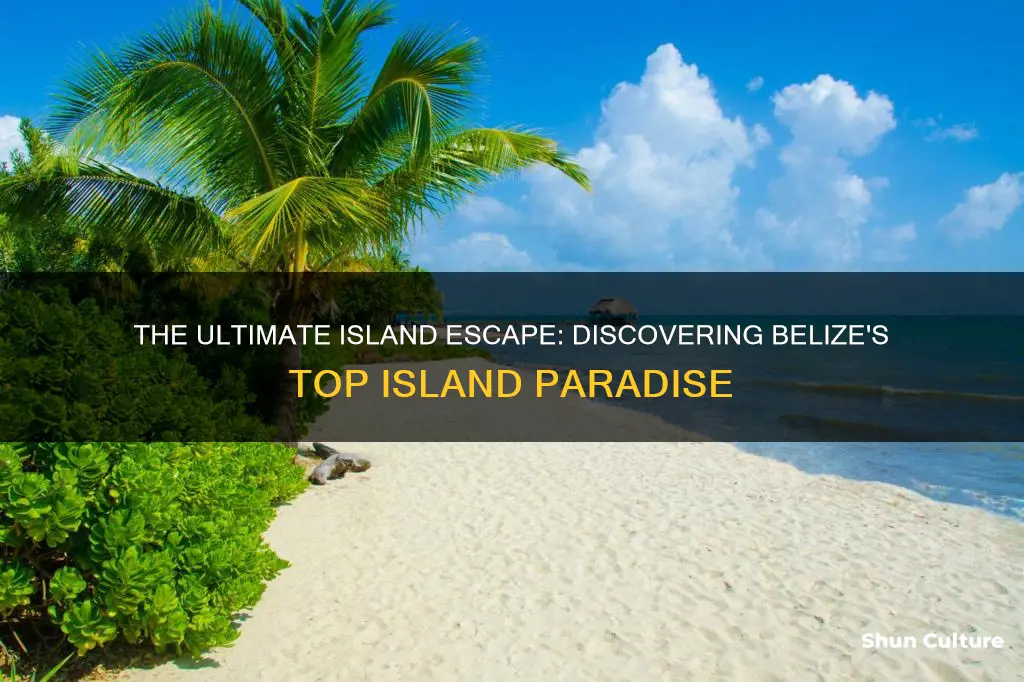 what is the best island in belize to visit