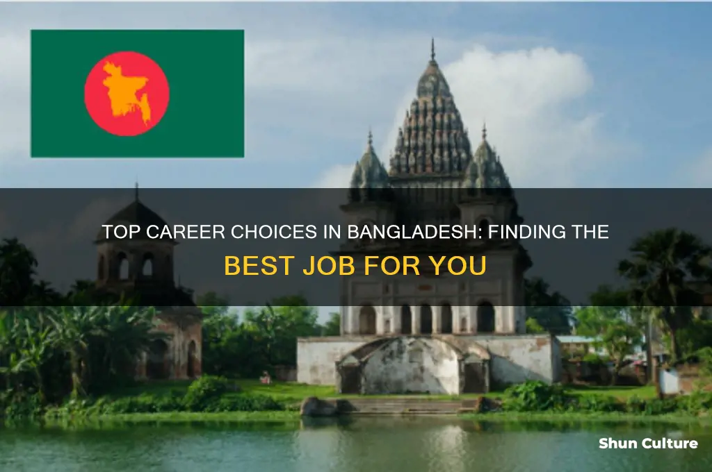 what is the best job in bangladesh