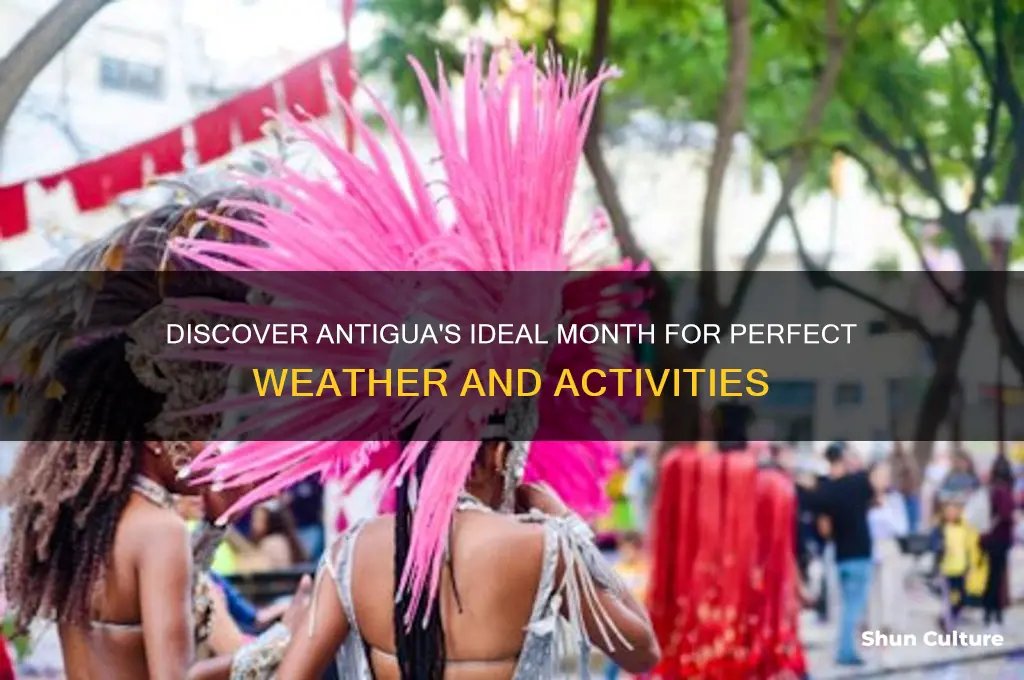 what is the best month to go to antigua