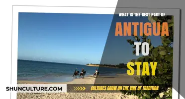 Discover Antigua's Ideal Stay: Top Neighborhoods for Every Traveler