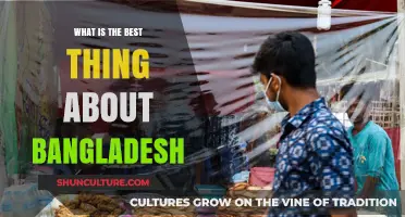 Discovering Bangladesh's Unique Charm: Culture, Nature, and Warmth