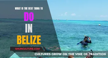 The Ultimate Belizean Adventure: Exploring the Country's Diverse Natural Wonders