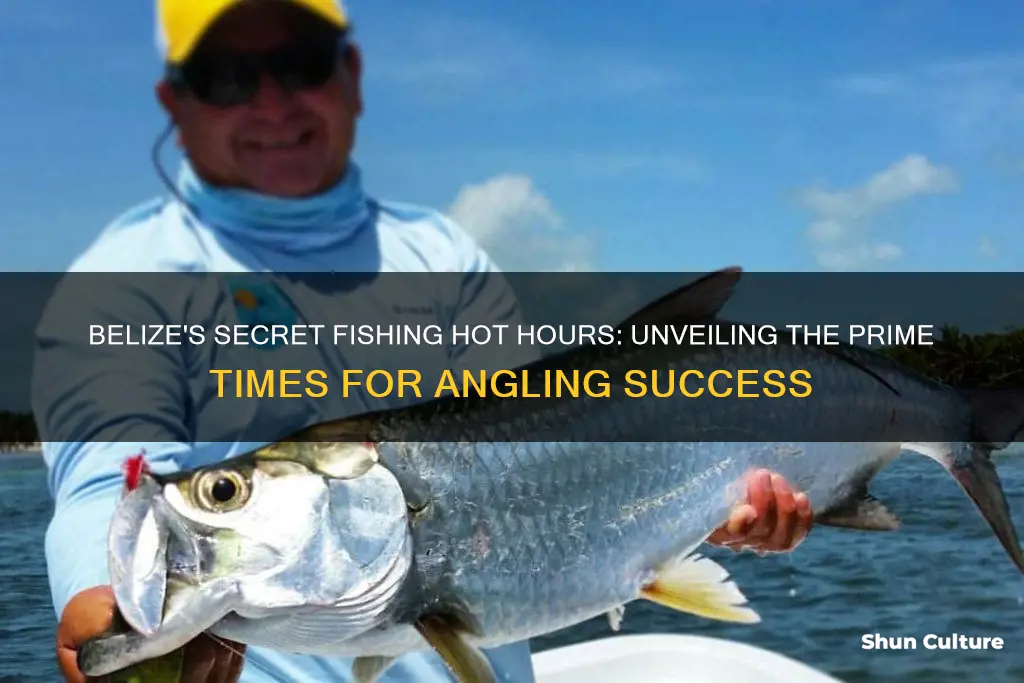 what is the best time to fish in belize