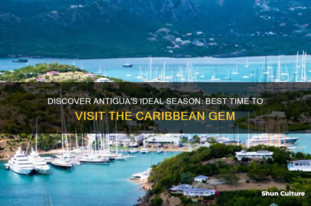 what is the best time to go to antigua