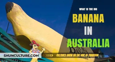 The Big Banana: Australia's Giant Fruit Attraction