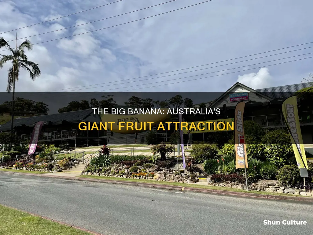what is the big banana in australia