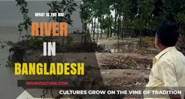 Exploring Bangladesh's Lifeline: The Mighty Padma River's Significance