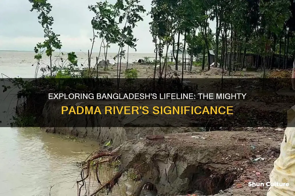 what is the big river in bangladesh