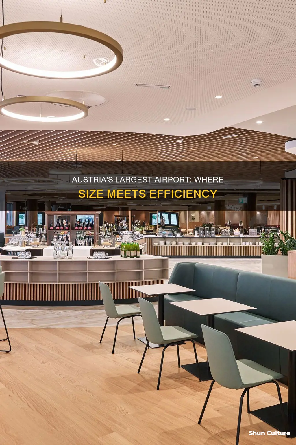 what is the biggest airport in austria
