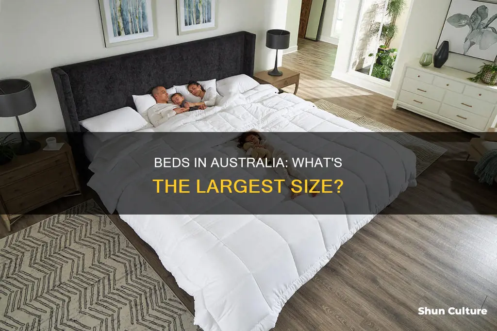 what is the biggest bed size australia