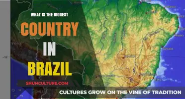Exploring Brazil's Largest State: Unveiling the Vastness of Amazonas