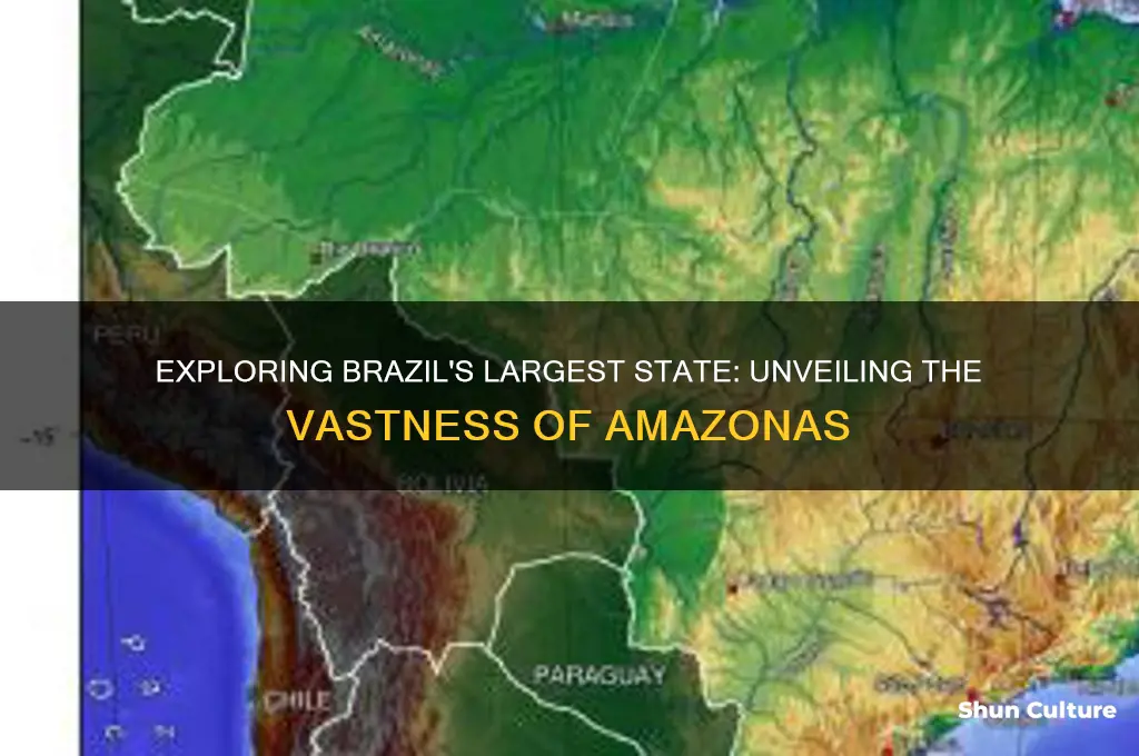 what is the biggest country in brazil