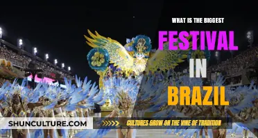 Brazil's Carnival: The World's Largest Festival Explained