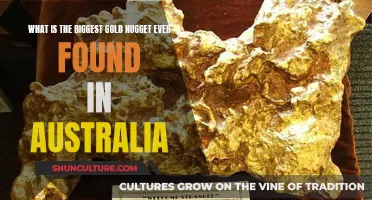 Massive Australian Gold Nugget Discovery: Unbelievable Fortune