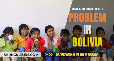 Bolivian Health Crisis: Understanding the Country's Biggest Challenge