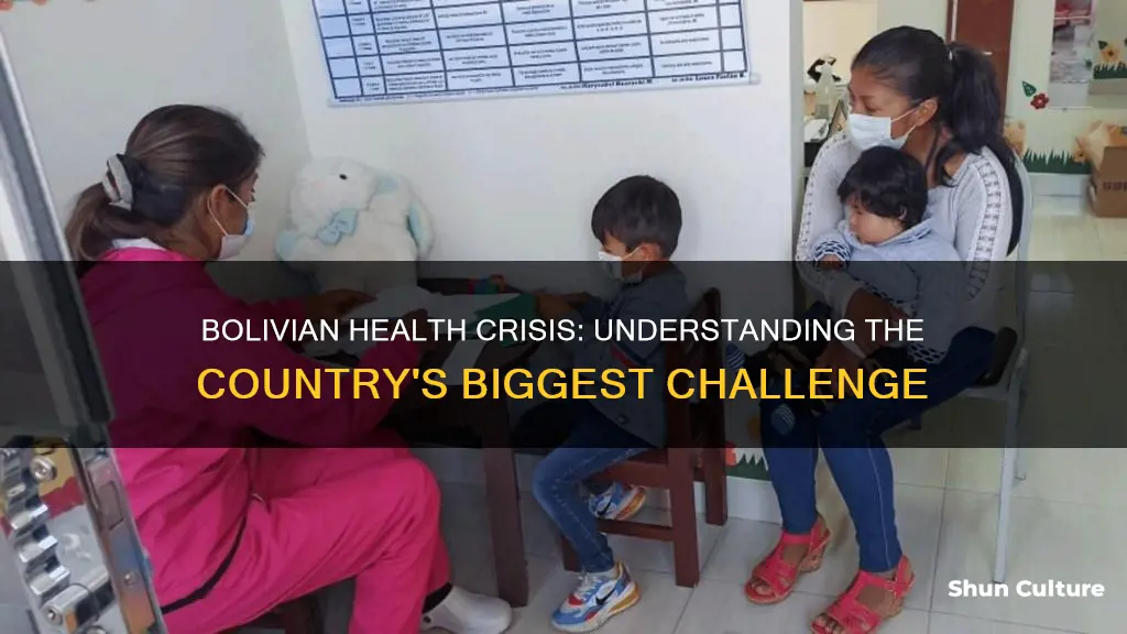 what is the biggest health problem in bolivia