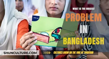 Bangladesh's Looming Crisis: Unraveling the Nation's Most Pressing Challenge
