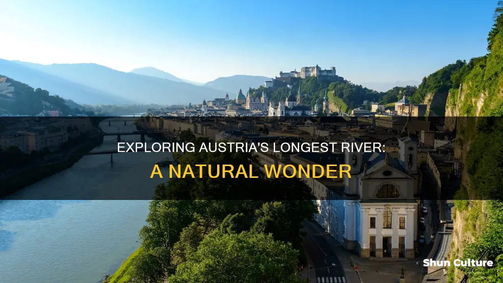 what is the biggest river in austria