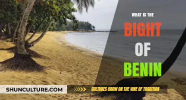 Exploring the Rich History and Cultural Significance of Benin's Bight